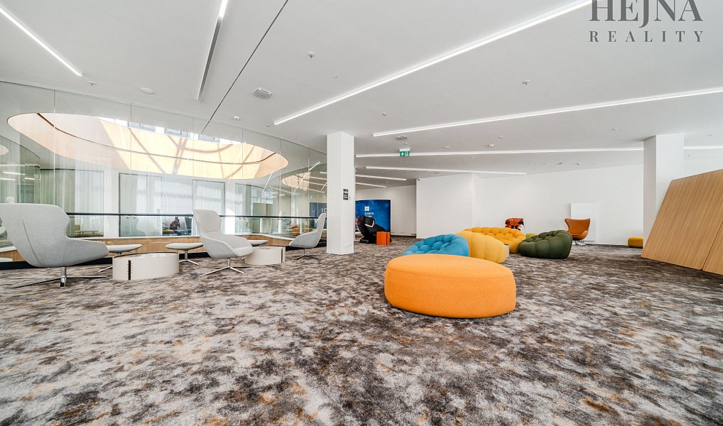 Pronájem obchodních prostor 802 m², Ostrava – náhled fotky 14