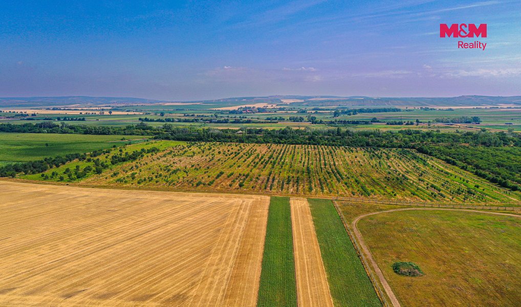 Prodej pole 123 477 m², Rakvice – náhled fotky 11