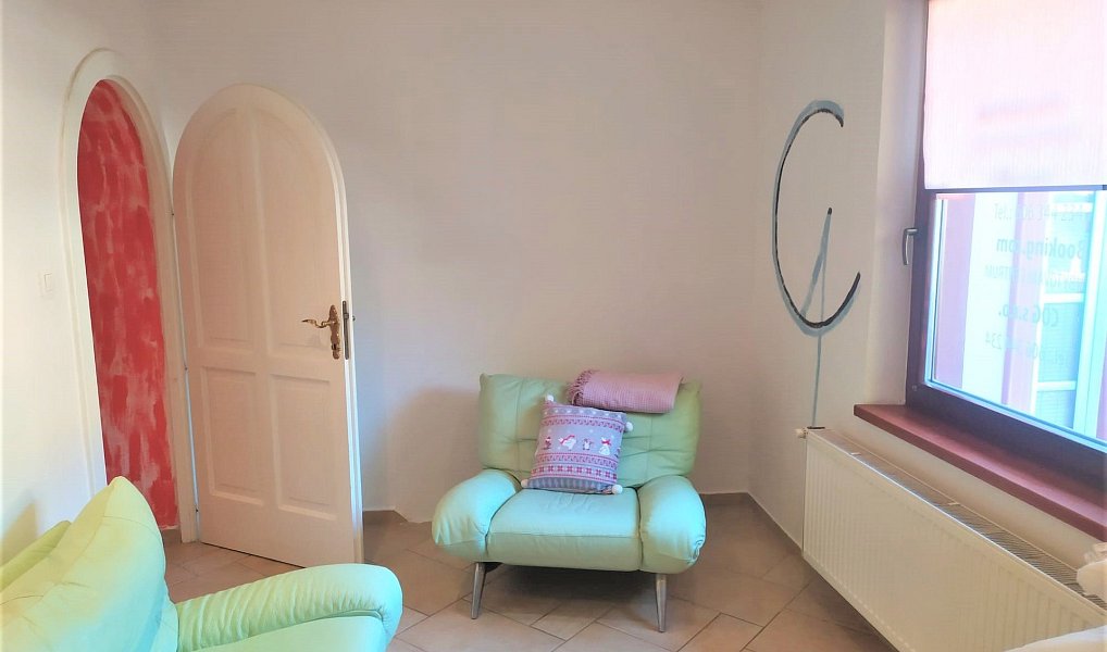 Pronájem domu 110 m² s pozemkem 20 m², Jihlava – náhled fotky 10