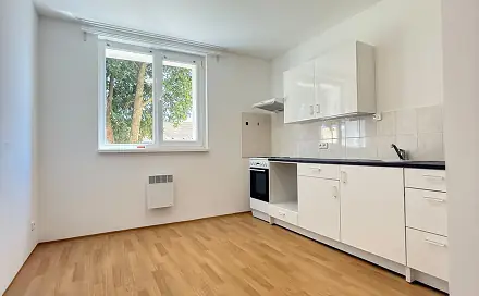 Pronájem bytu 2+kk 40 m², Mládežnická, Mšené-lázně, okres Litoměřice