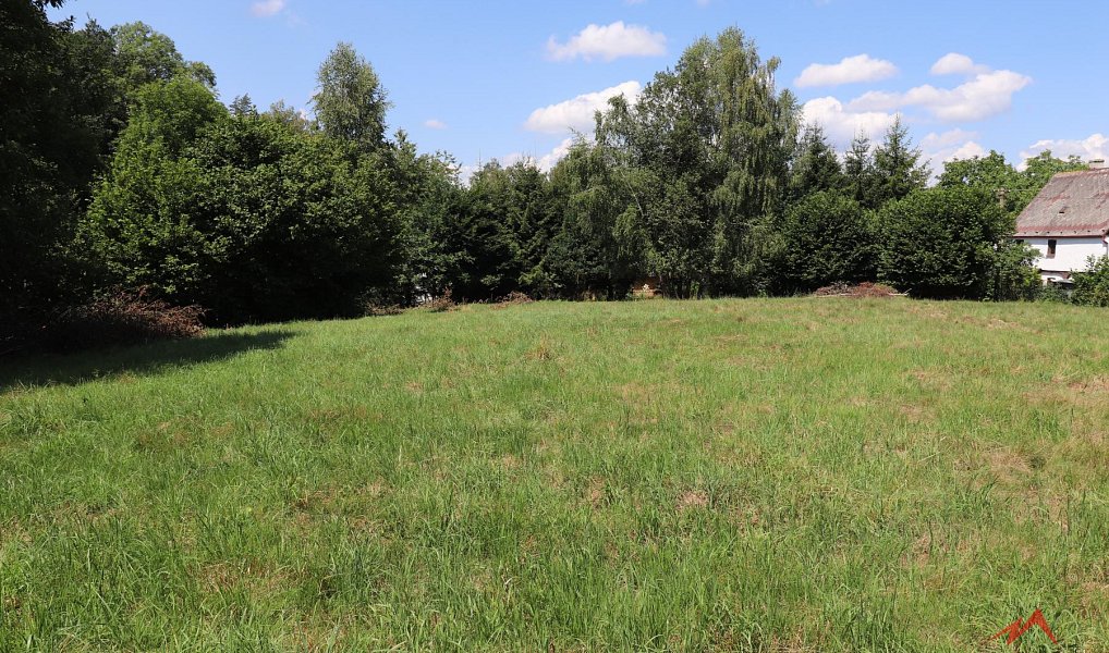Prodej stavebního pozemku 3 415 m², Jetřichovice – náhled fotky 4