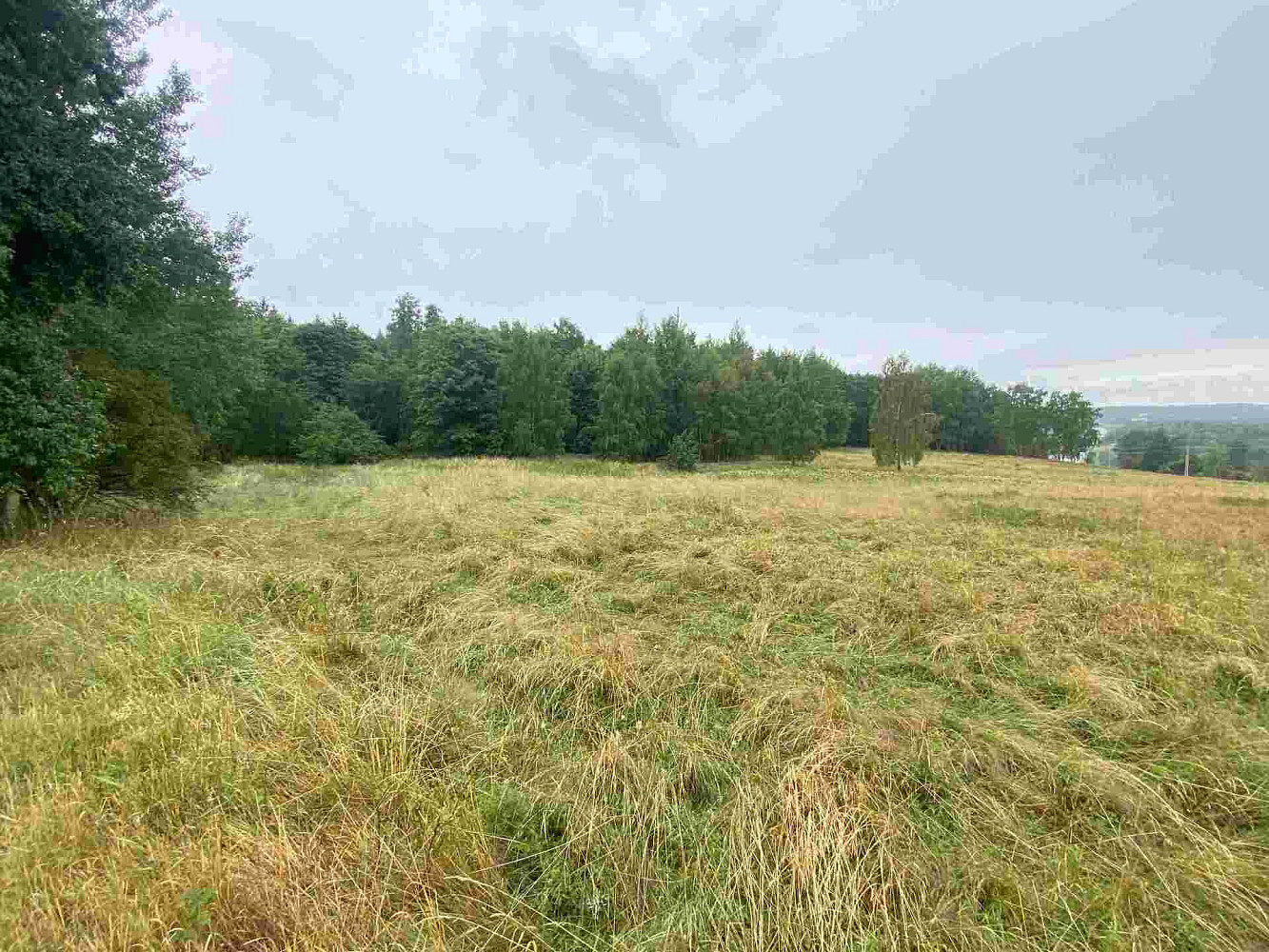 Prodej pole 49 321 m² – fotografie 3