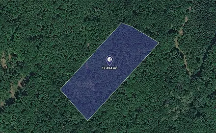 Prodej lesa 12 494 m², Klobouky u Brna, okres Břeclav