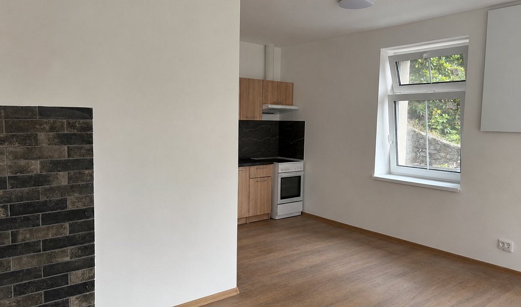 Pronájem bytu 1+kk 35 m², Dolní Poustevna – náhled fotky 4