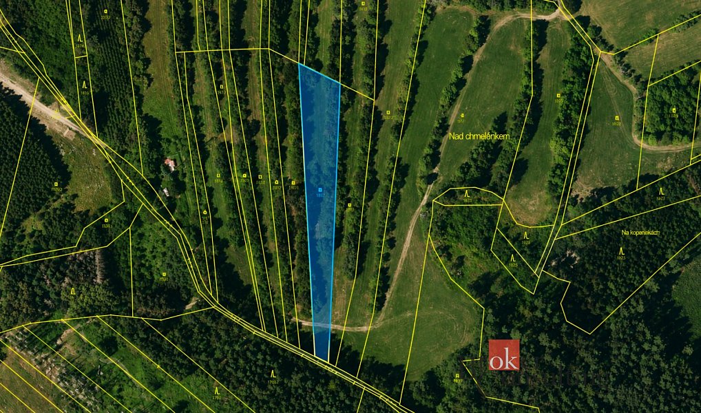 Prodej louky 3 075 m², Borotín – náhled fotky 2