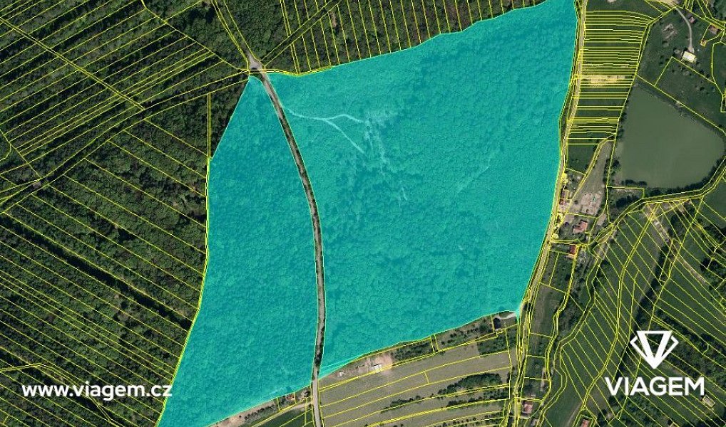 Prodej lesa 2 432 m², Šanov – náhled fotky 3