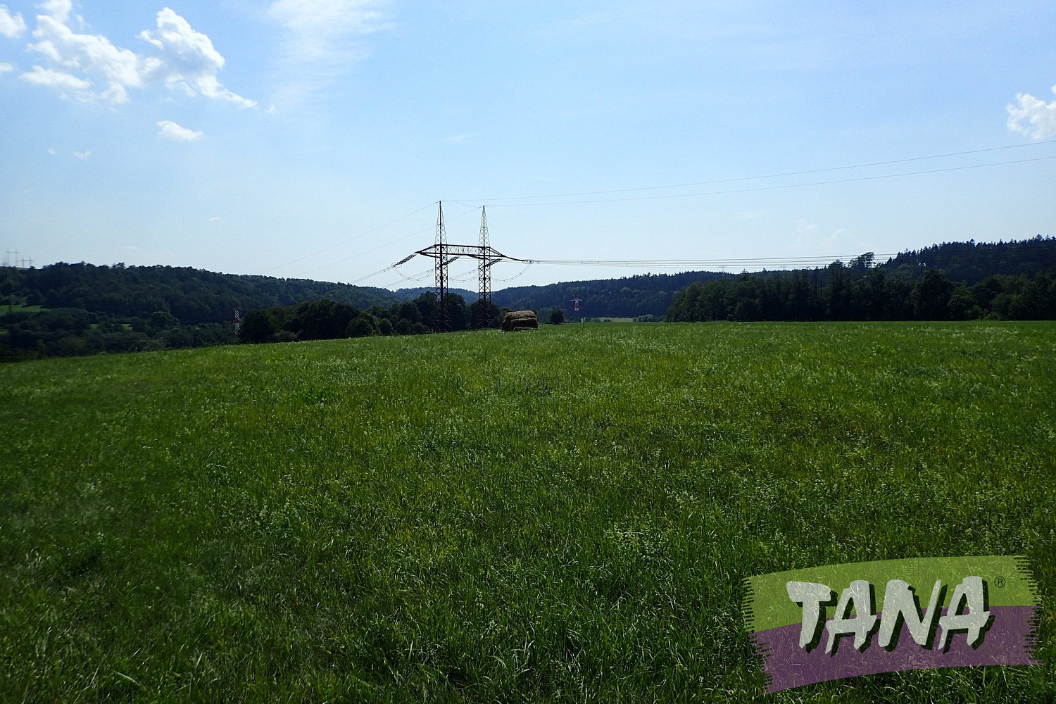 Prodej louky 49 051 m² – pohled 5