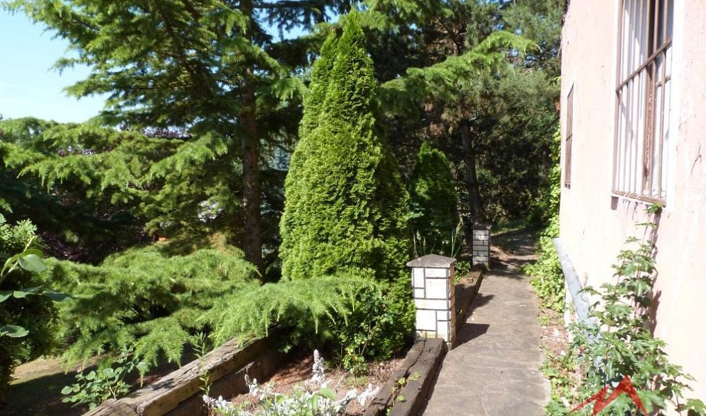 Prodej chaty/chalupy 50 m² s pozemkem 1 362 m², Ústí nad Labem – náhled fotky 2
