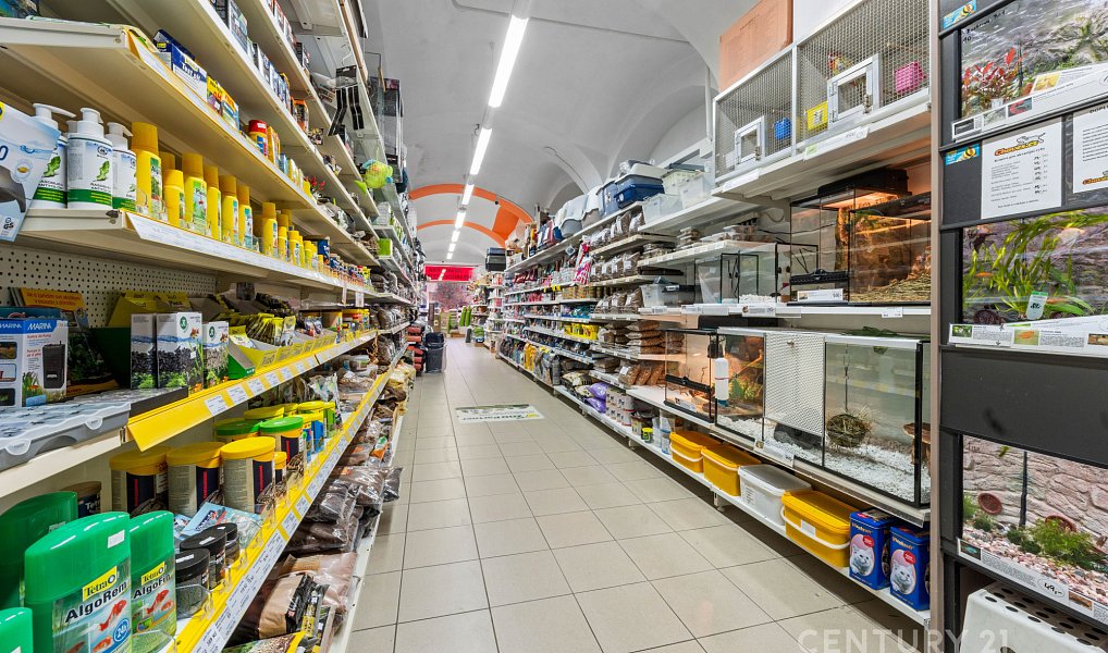 Prodej komerčního objektu (jiného typu) 800 m², Moravská Třebová – náhled fotky 4
