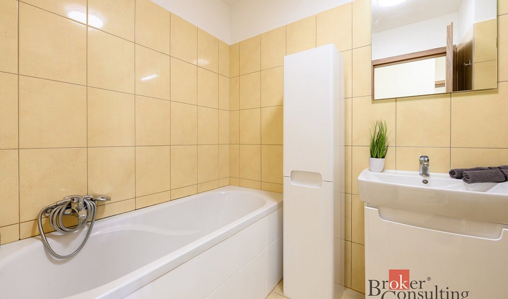 Pronájem bytu 2+kk 59 m², Plzeň – náhled fotky 3