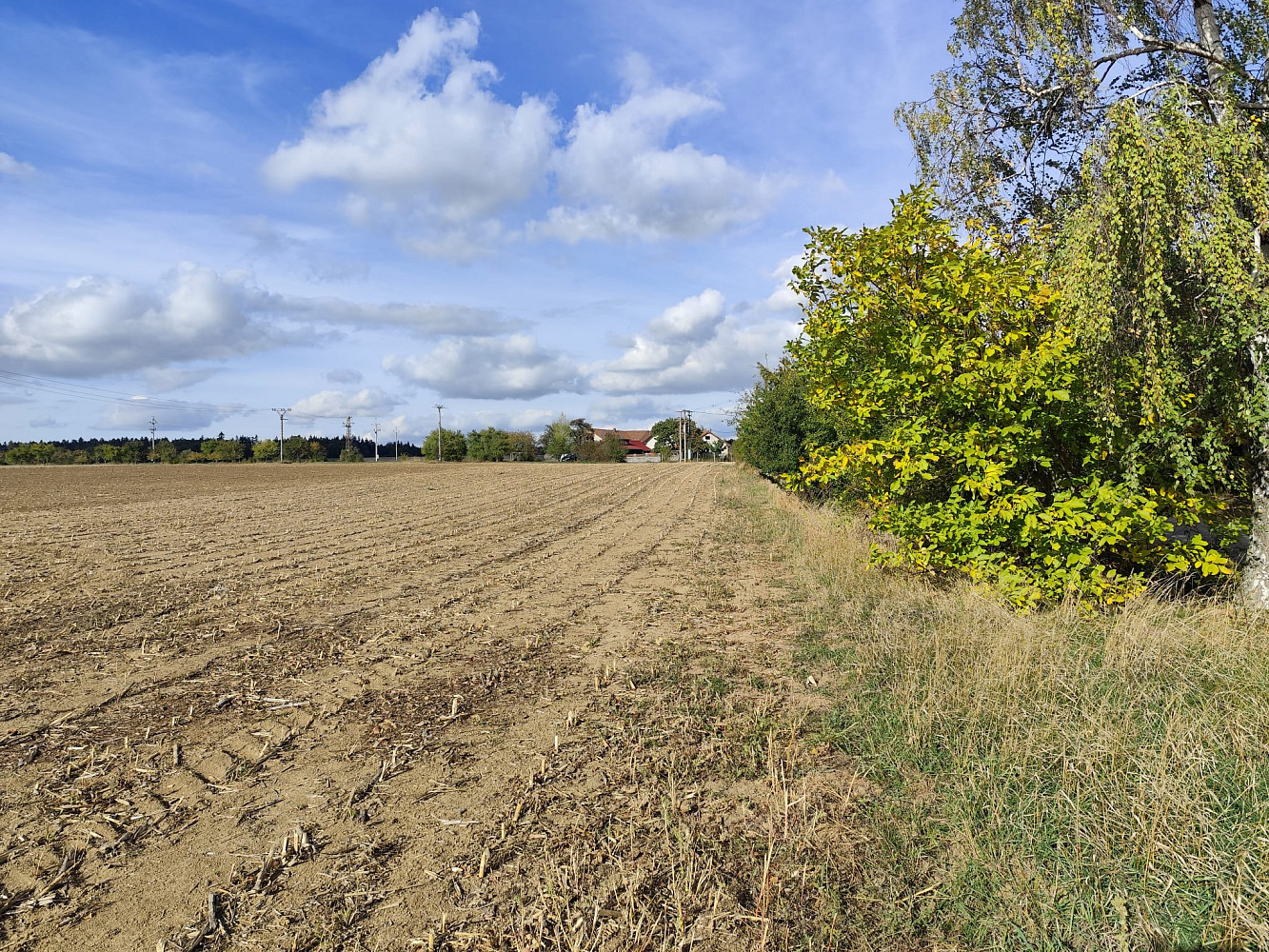 Prodej stavebního pozemku 917 m²