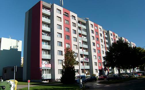 Prodej bytu 1+1 38 m², Ležáků, Vysoké Mýto - Litomyšlské Předměstí, okres Ústí nad Orlicí