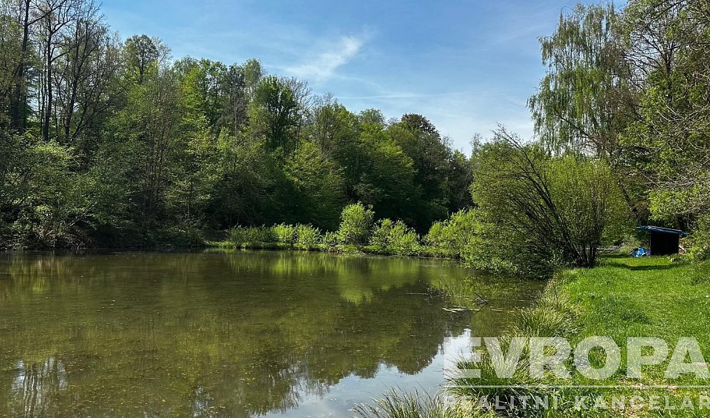 Prodej domu 350 m² s pozemkem 5 913 m², Dubá – náhled fotky 24