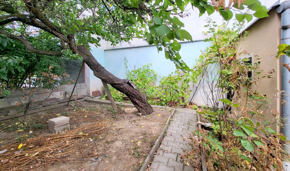 Prodej domu 97 m² s pozemkem 243 m², Veverská Bítýška – náhled fotky 5