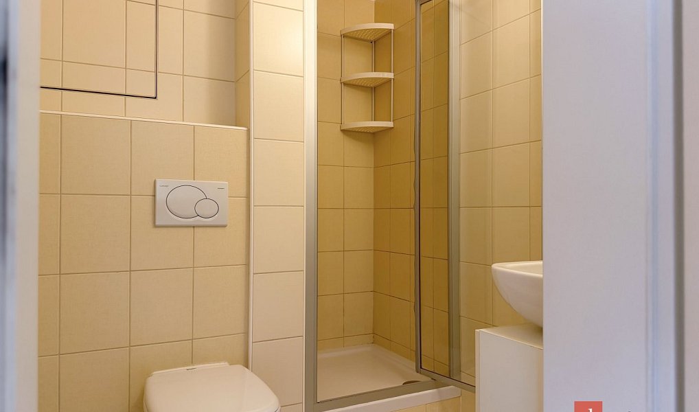 Pronájem bytu 1+kk 33 m², Plzeň – náhled fotky 6