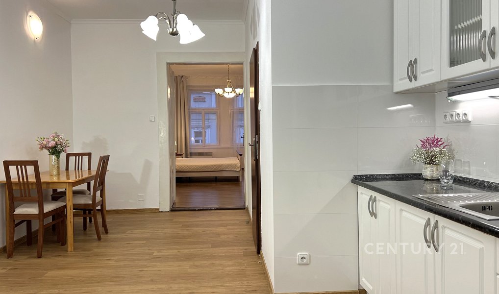 Pronájem bytu 1+1 46 m², Praha – náhled fotky 8