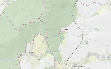 Dražba lesa 6 275 m², Lipinka