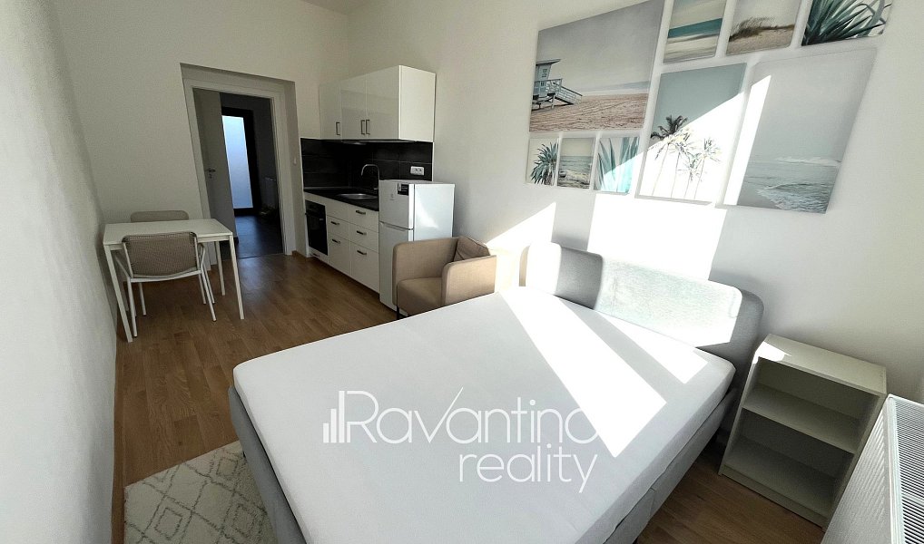 Pronájem bytu 1+kk, 24 m², Husovice - Brno-město, Brno