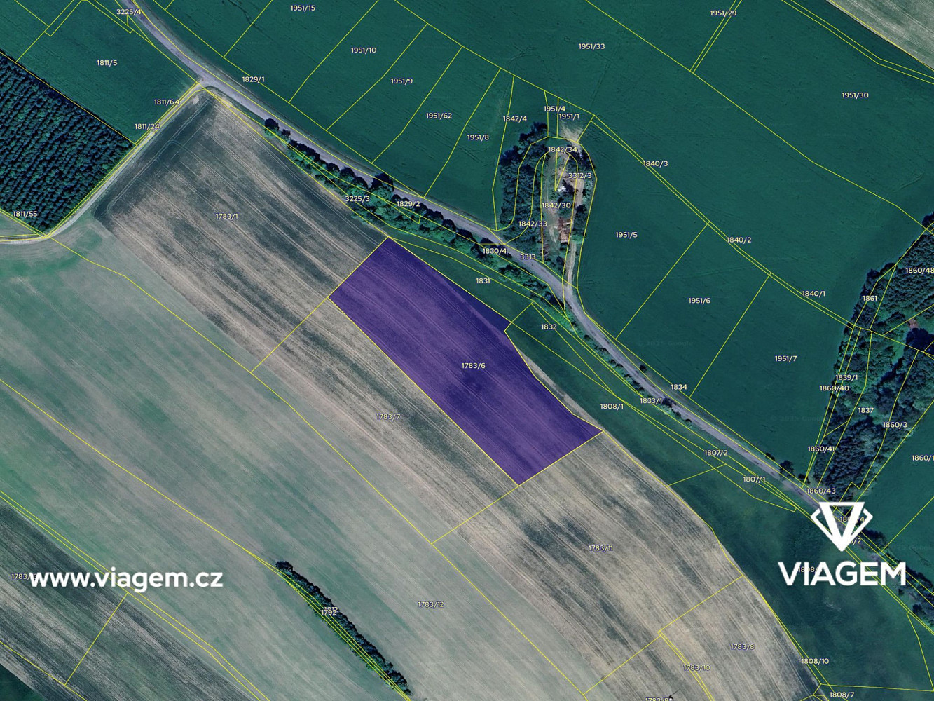 Prodej pole 350 m² – fotografie 4