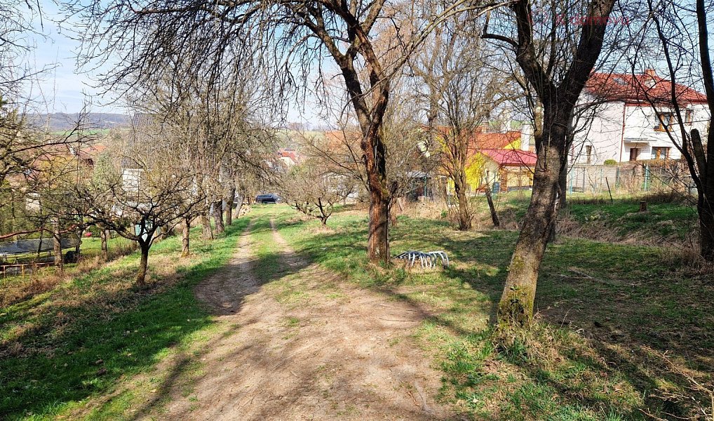 Prodej stavebního pozemku 2 619 m², Záhorovice – náhled fotky 6