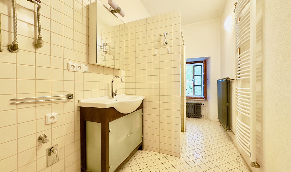 Prodej domu 324 m², Blatná – náhled fotky 19