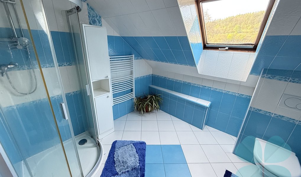 Prodej domu 220 m² s pozemkem 449 m², Radnice – náhled fotky 21
