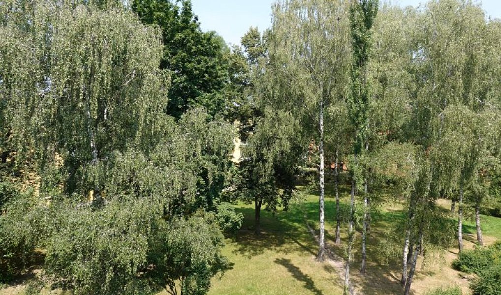 Prodej bytu 2+1 52 m², Ostrava – náhled fotky 18