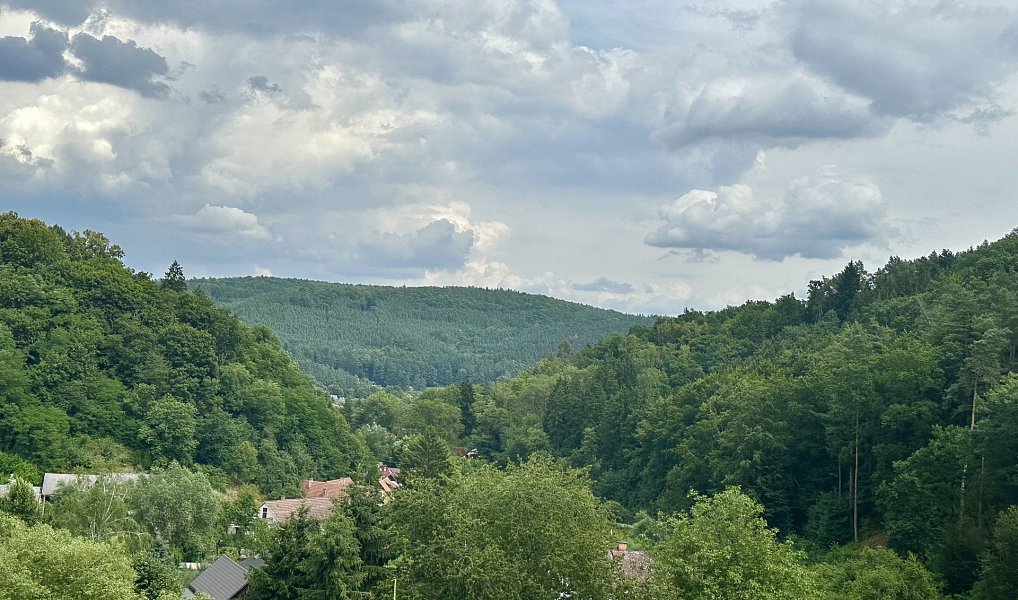 Prodej chaty/chalupy 70 m² s pozemkem 3 706 m², Stříbrná Skalice – náhled fotky 24
