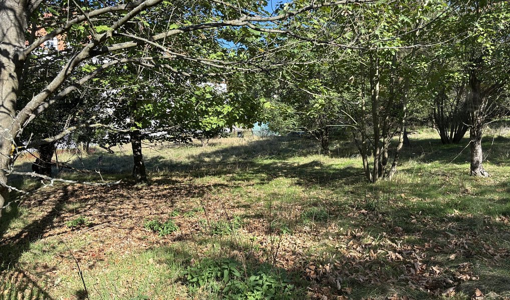 Prodej stavebního pozemku 3 530 m², Krhanice – náhled fotky 3