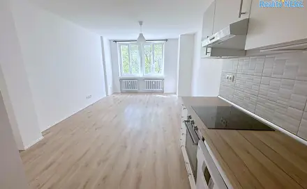 Pronájem bytu 2+kk 62 m², Baranova, Praha 3 - Žižkov