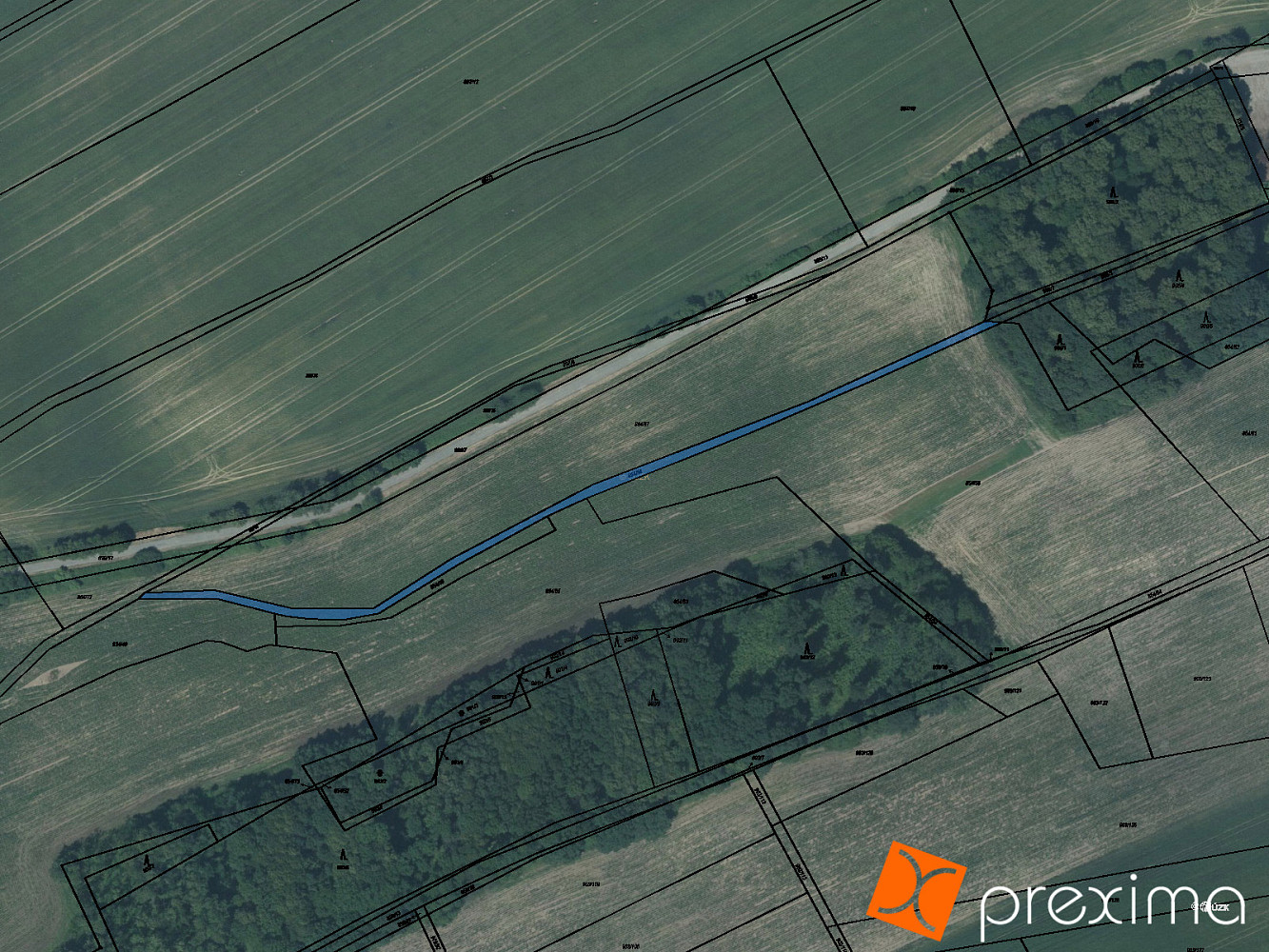 Prodej pole 50 m²