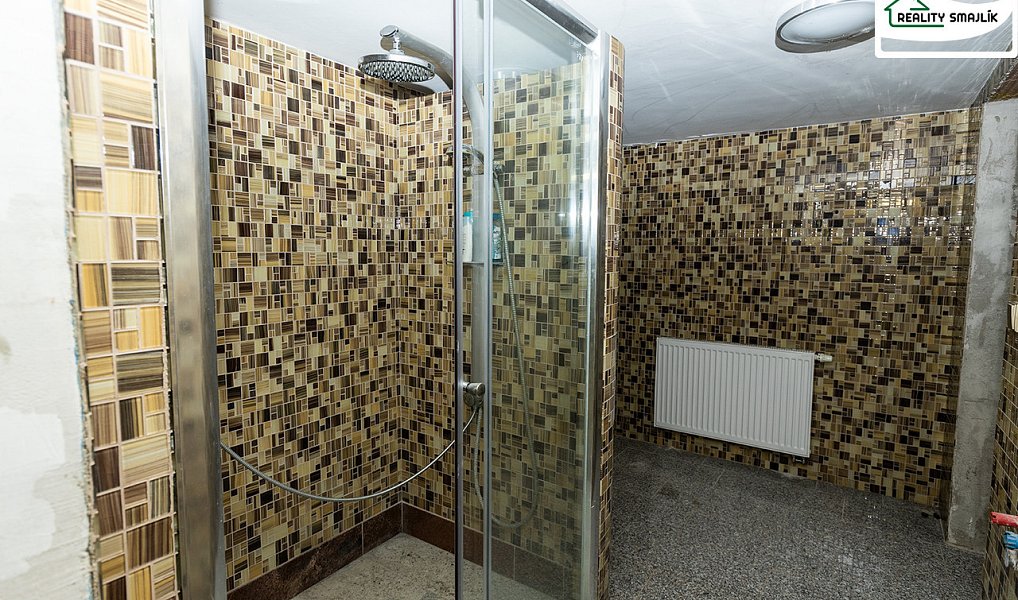 Prodej domu 500 m² s pozemkem 1 839 m², Plesná – náhled fotky 20