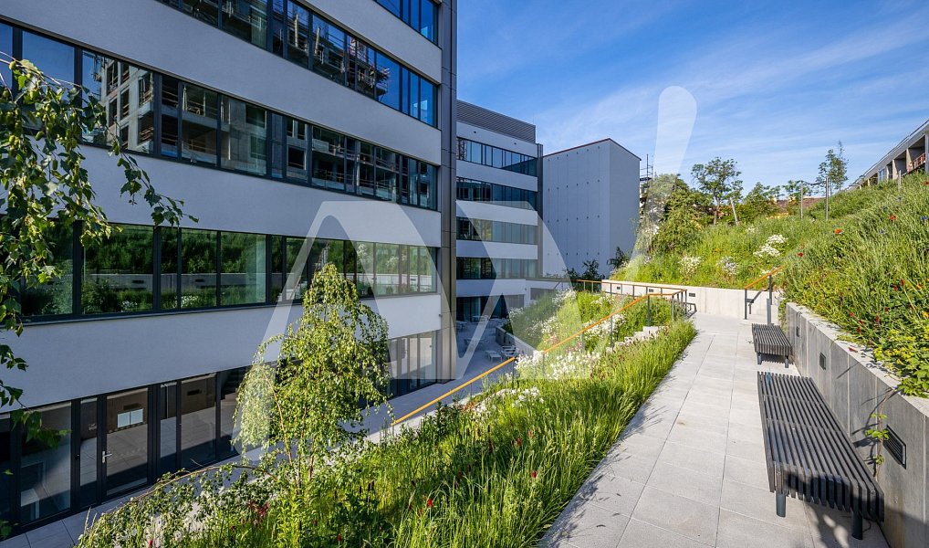 Pronájem kanceláře 1 494 m², Praha – náhled fotky 3