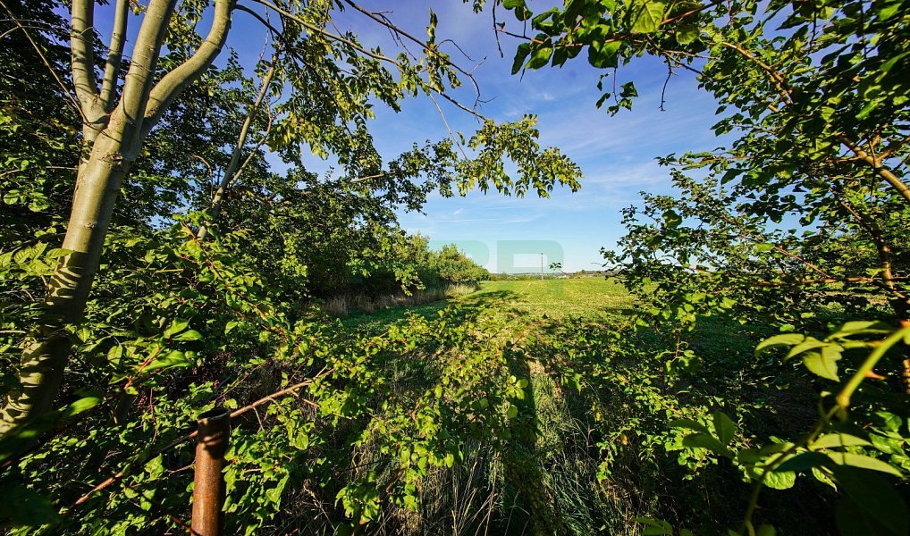 Prodej stavebního pozemku 2 093 m², Říčany – náhled fotky 16