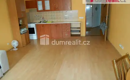 Pronájem bytu 1+kk 43 m², Dlouhá, Příbram - Příbram III