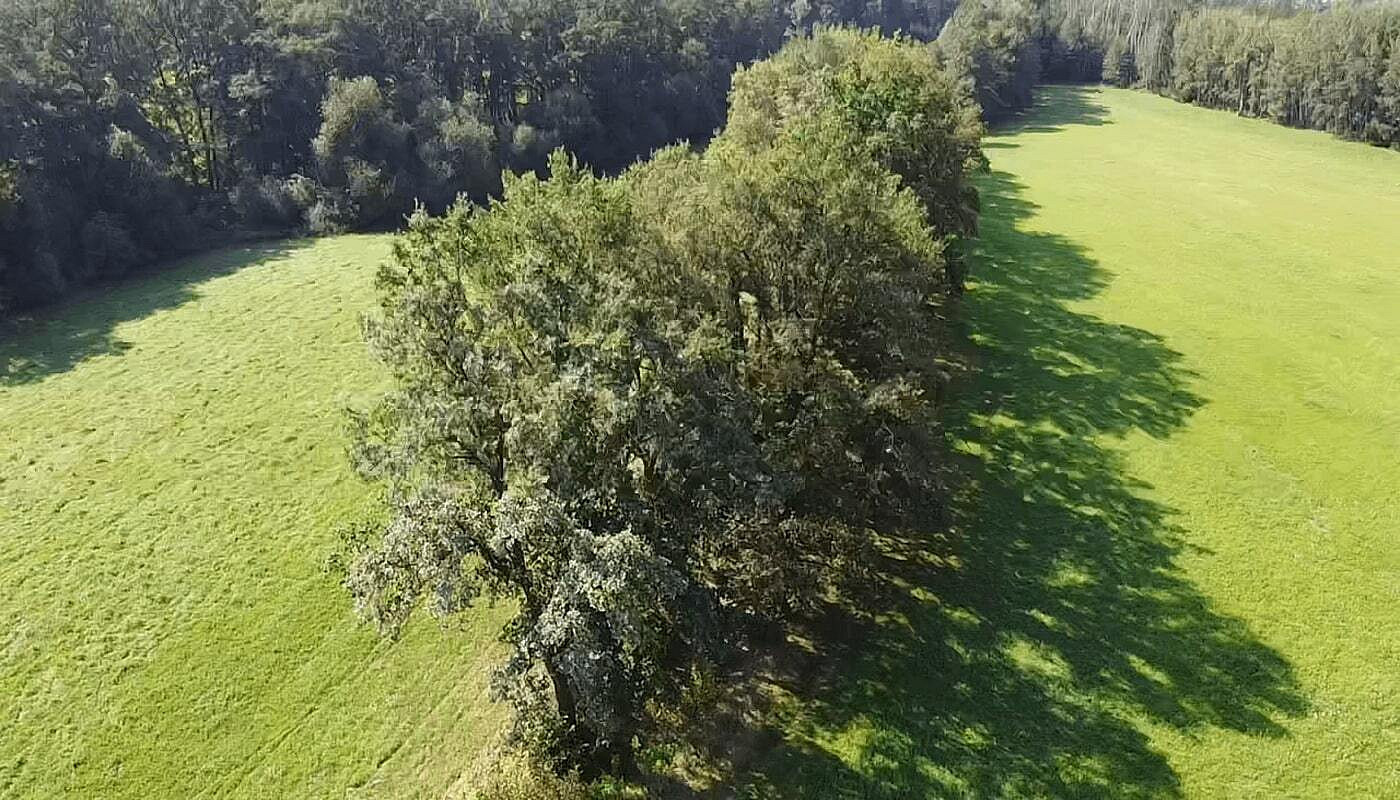 Prodej louky 4 295 m² – fotografie 2