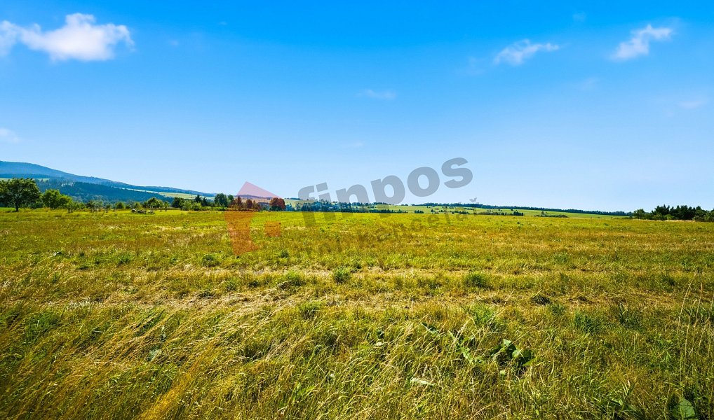 Prodej stavebního pozemku 14 349 m², Bezděkov nad Metují – náhled fotky 8