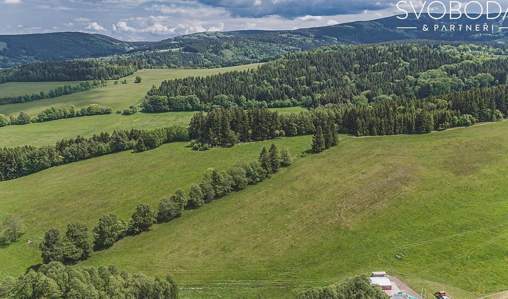 Prodej stavebního pozemku 5 600 m², Olešnice v Orlických horách – náhled fotky 16