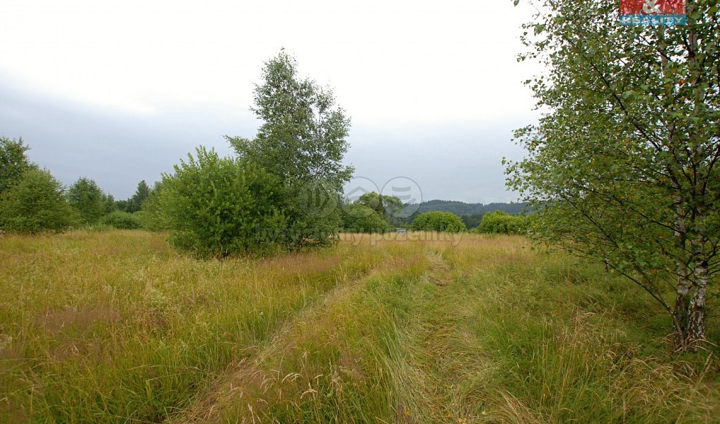 Prodej pozemku 12 000 m², Mariánské Lázně – náhled fotky 3
