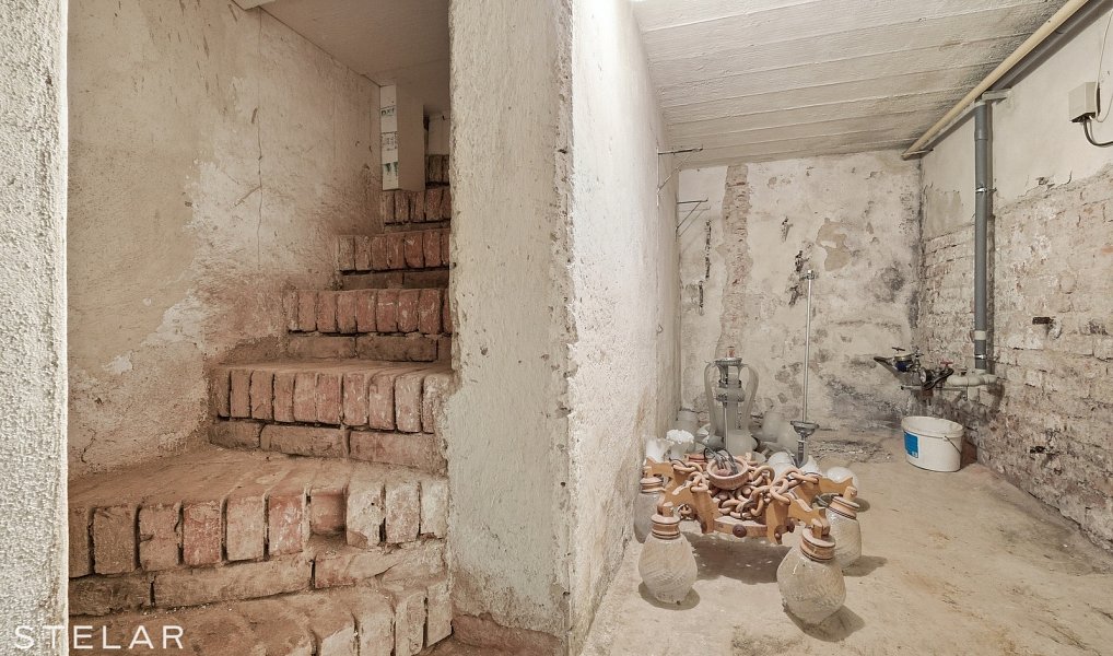 Prodej domu 240 m² s pozemkem 663 m², Rajhrad – náhled fotky 24