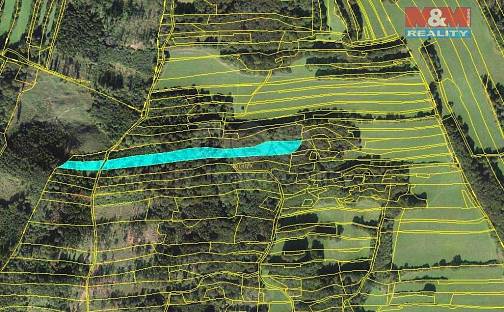 Prodej lesa 10 970 m², Lešná, okres Vsetín