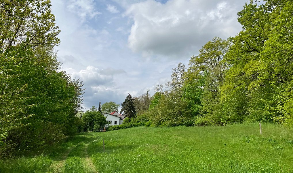 Prodej stavebního pozemku 2 553 m², Vysoký Chlumec – náhled fotky 12