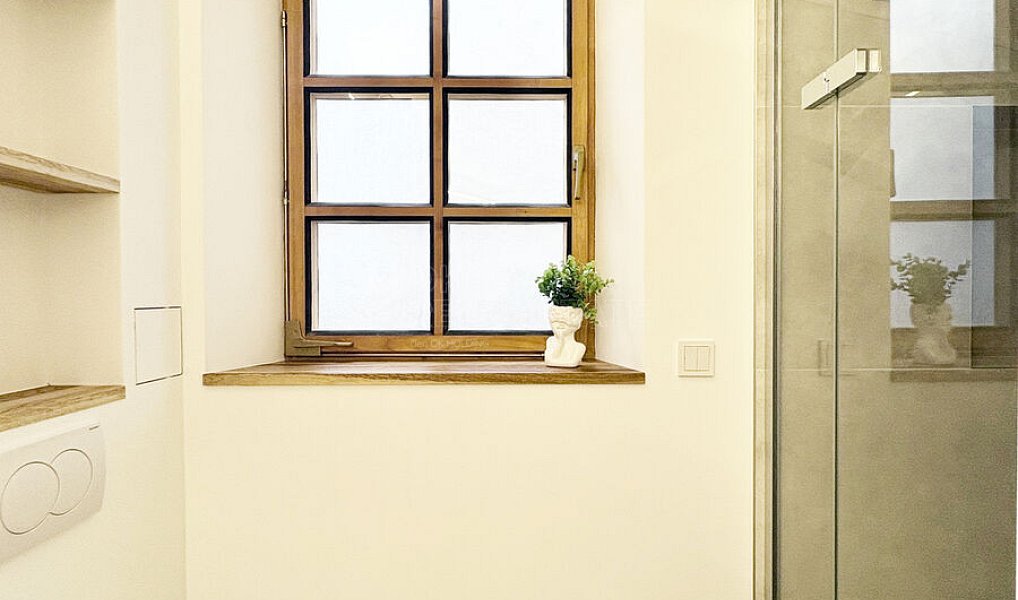 Pronájem bytu 1+kk 11 m², Praha – náhled fotky 6