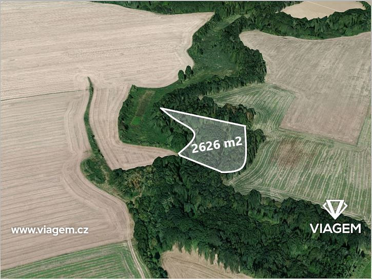 Prodej pole 2 626 m²
