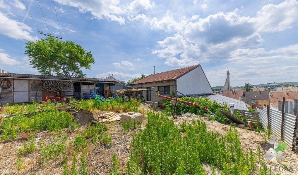 Prodej komerčního objektu (jiného typu) 421 m², Hustopeče – náhled fotky 8