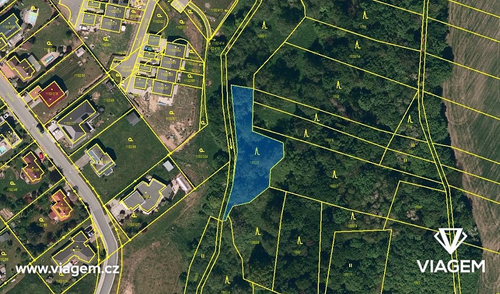 Prodej lesa 1 258 m², Velká Polom – náhled fotky 2