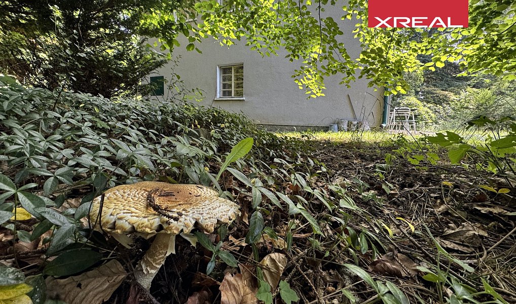Prodej vily 157 m² s pozemkem 5 174 m², Kamenice – náhled fotky 18
