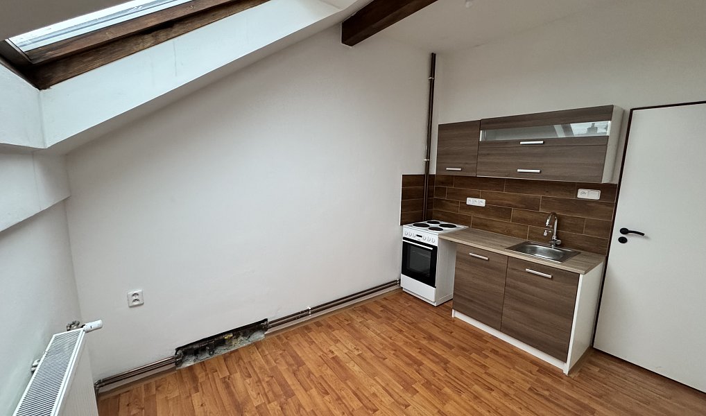 Pronájem bytu 1+1 35 m², Brňany – náhled fotky 2