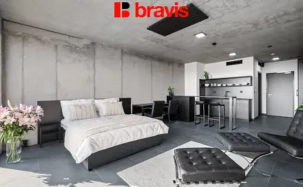Pronájem bytu 1+kk 36 m²