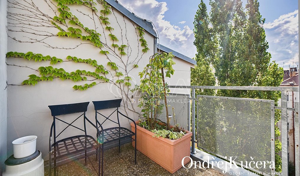 Prodej bytu 3+kk 122 m², Praha – náhled fotky 16